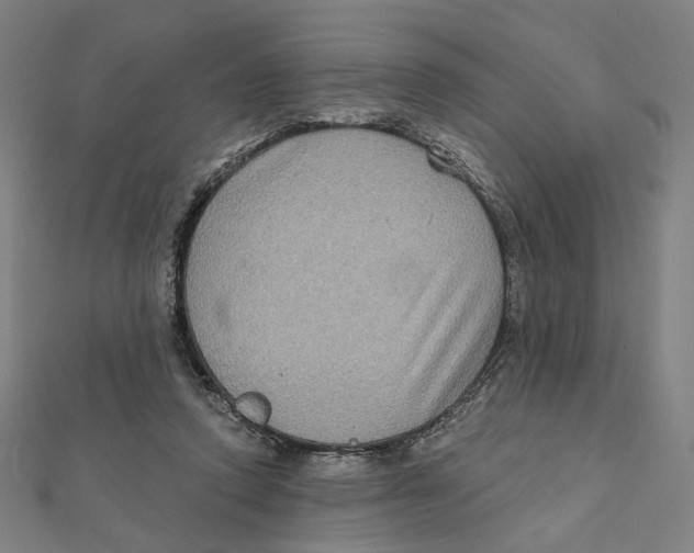 X0000111790354200908201137