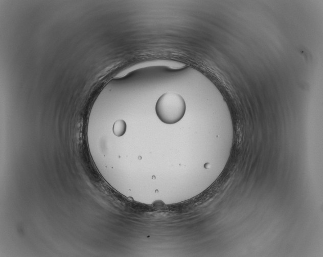 X0000111790356200908201137