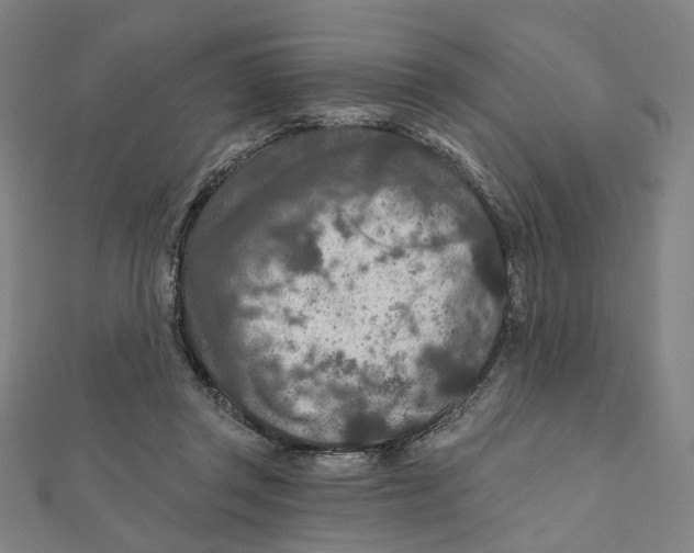 X0000111790357200908201137