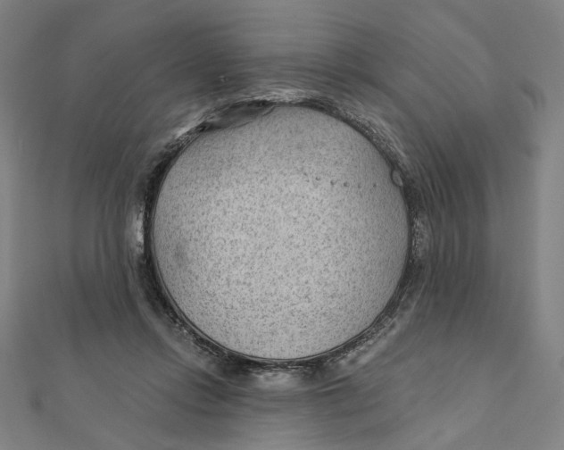 X0000111790358200908201137