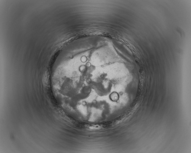 X0000111790359200908201137