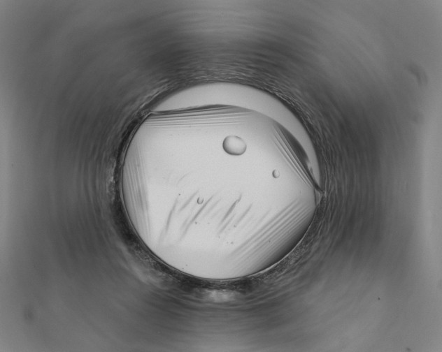 X0000111790360200908201137