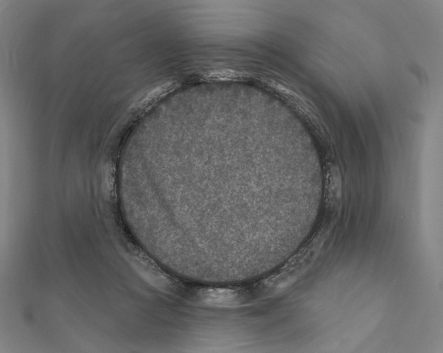 X0000111790361200908201137