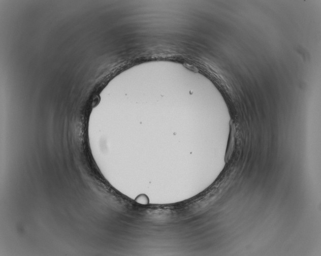 X0000111790362200908201137