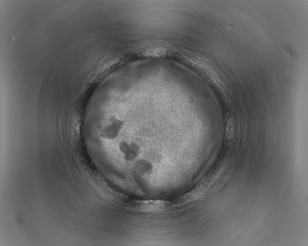 X0000111790363200908201137