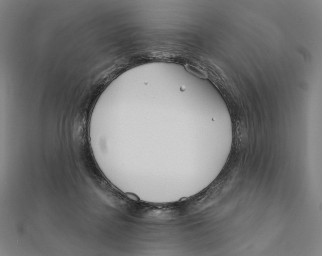 X0000111790364200908201137