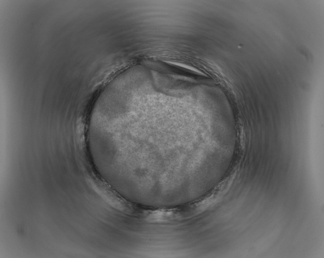 X0000111790366200908201137