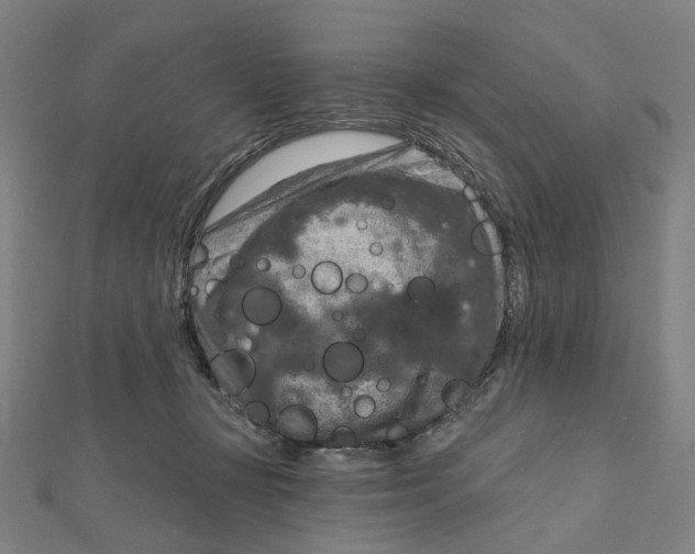 X0000111790367200908201137