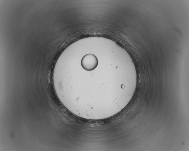 X0000111790368200908201137