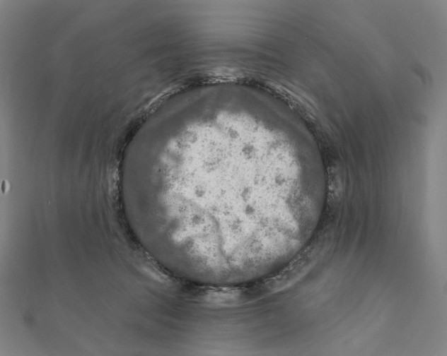 X0000111790369200908201137