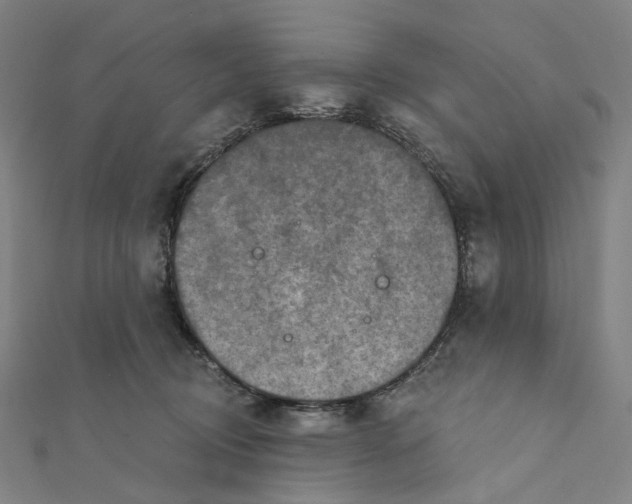 X0000111790370200908201137