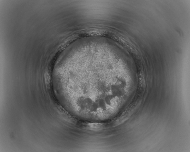 X0000111790371200908201137