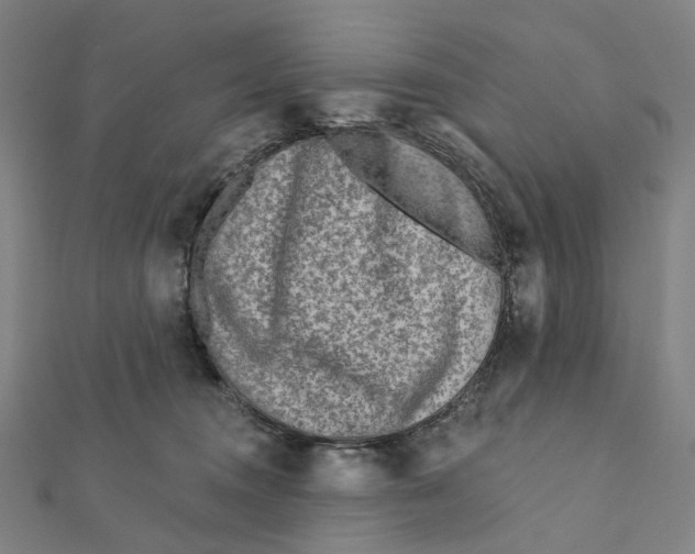 X0000111790372200908201137