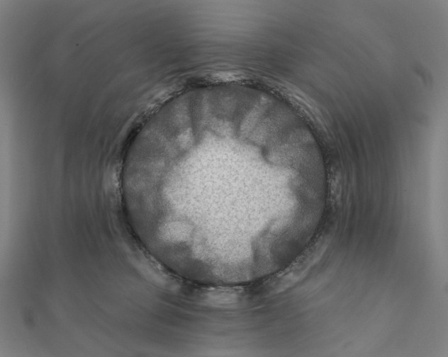 X0000111790373200908201137