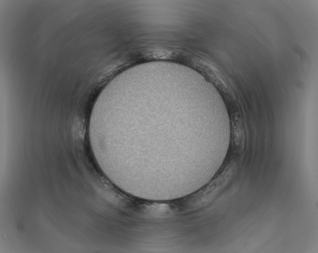 X0000111790374200908201137