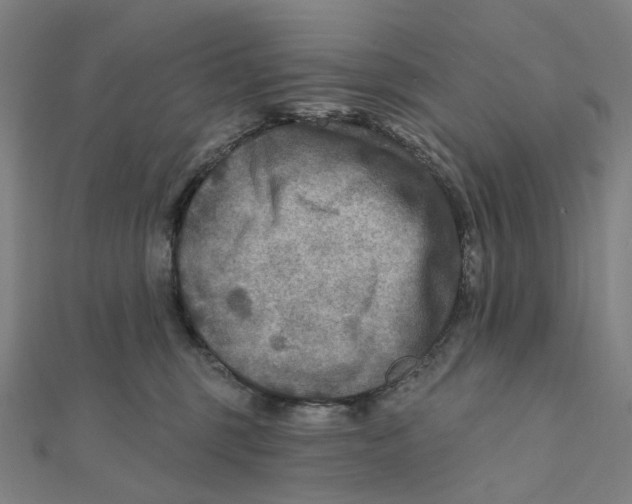 X0000111790375200908201137