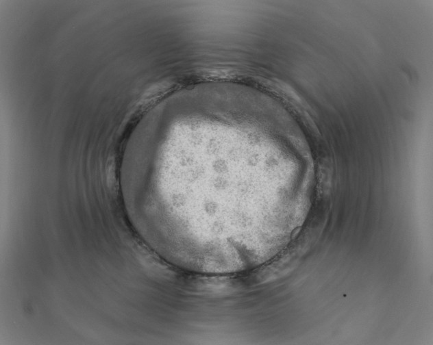 X0000111790377200908201137