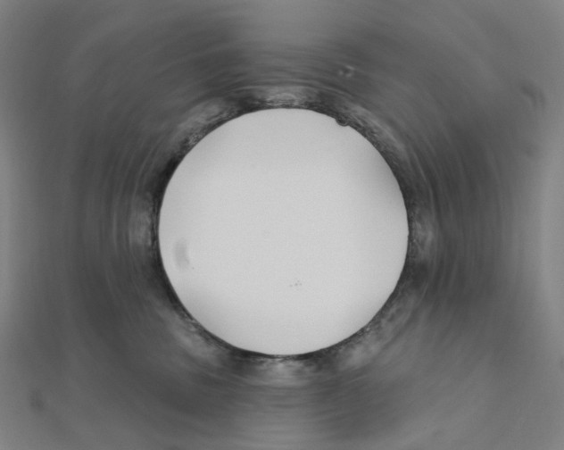 X0000111790379200908201137