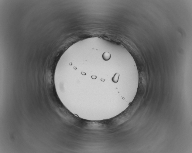 X0000111790380200908201137