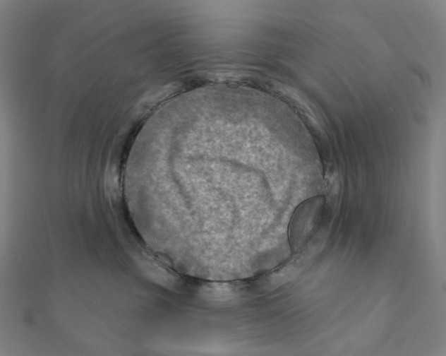 X0000111790381200908201137