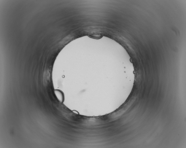 X0000111790382200908201137