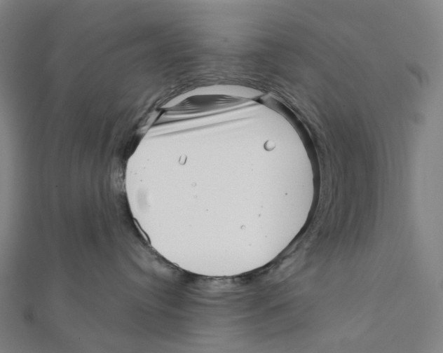 X0000111790384200908201137