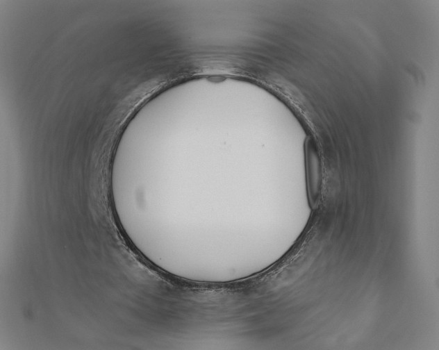 X0000111790385200908201136