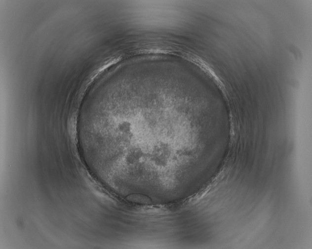 X0000111790386200908201136