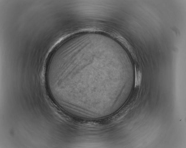 X0000111790387200908201136