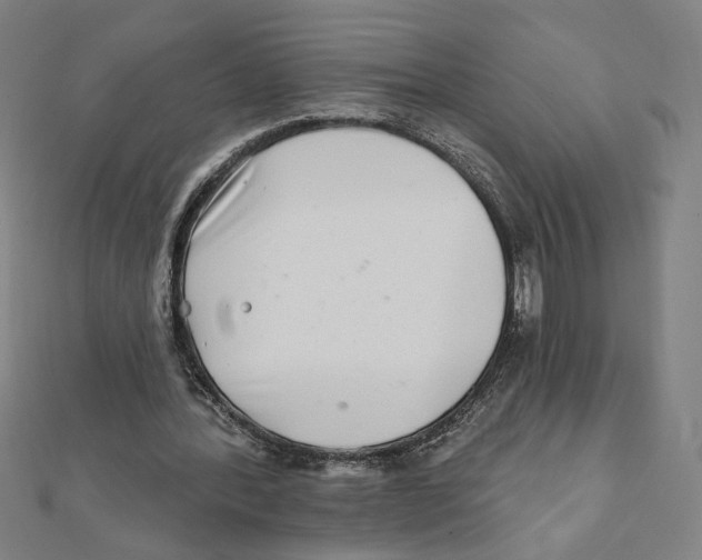 X0000111790388200908201136