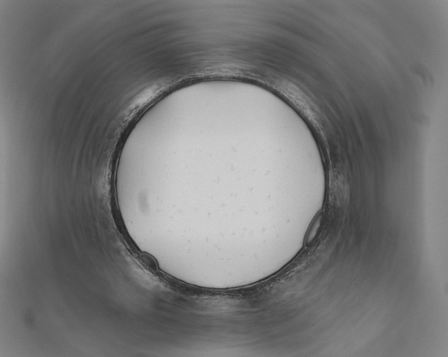 X0000111790389200908201136