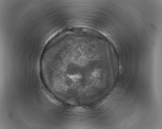 X0000111790390200908201136