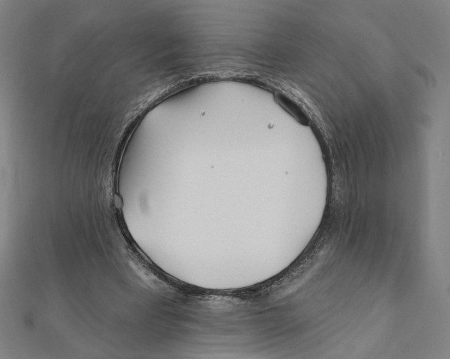 X0000111790393200908201136