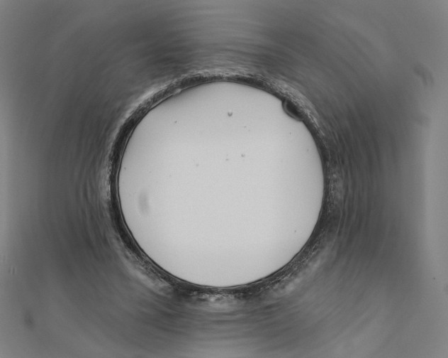 X0000111790395200908201136