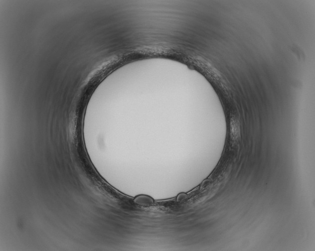 X0000111790396200908201136