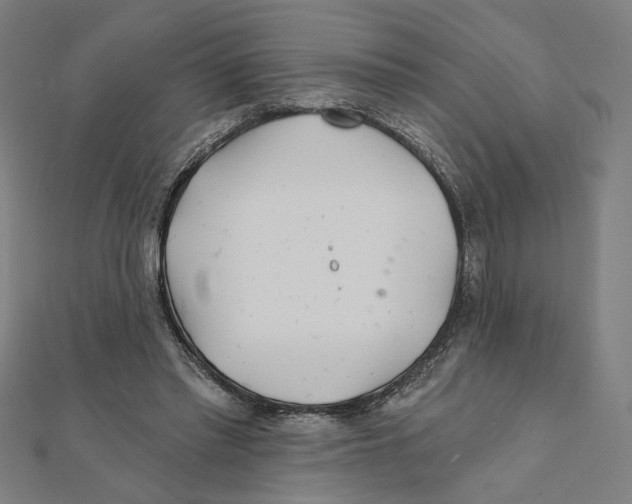 X0000111790397200908201136