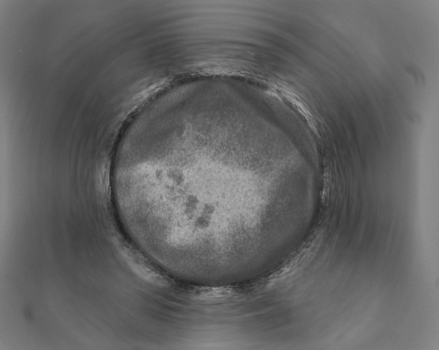 X0000111790398200908201136