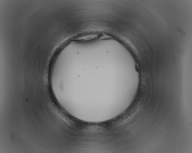 X0000111790399200908201136