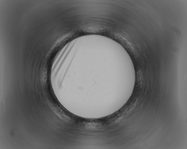 X0000111790400200908201136