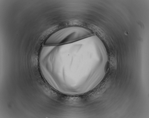 X0000111790401200908201136