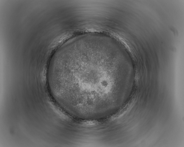 X0000111790402200908201136