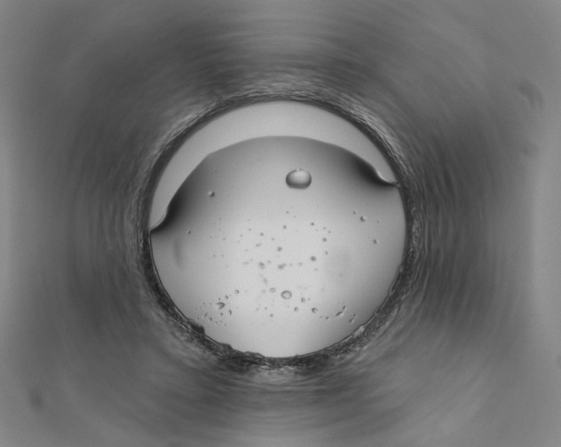 X0000111790403200908201136