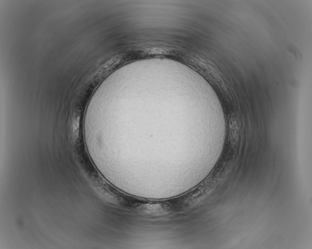 X0000111790406200908201136