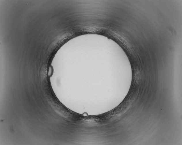 X0000111790407200908201136