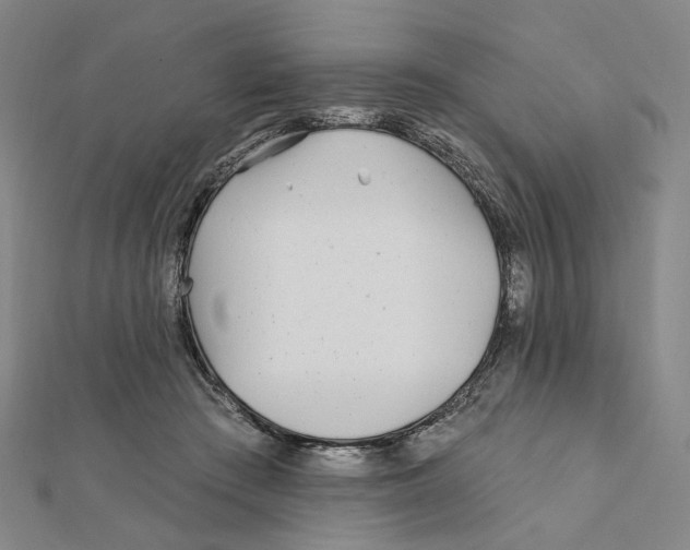 X0000111790409200908201136