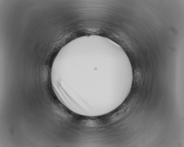 X0000111790412200908201136