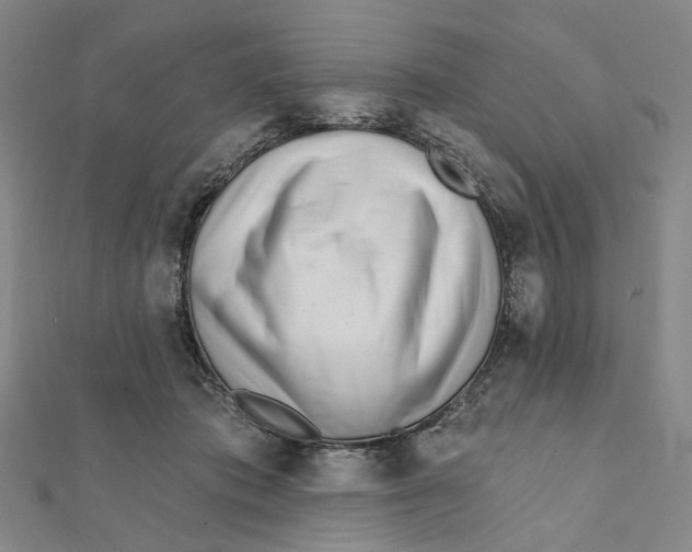 X0000111790413200908201136