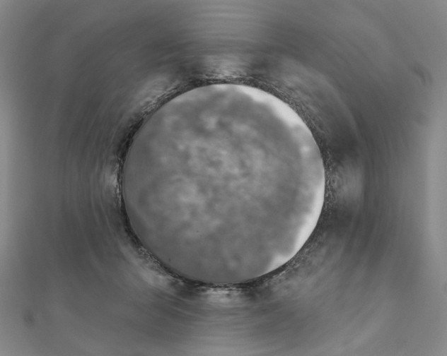 X0000111790415200908201136