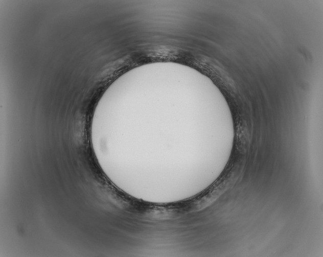 X0000111790416200908201136