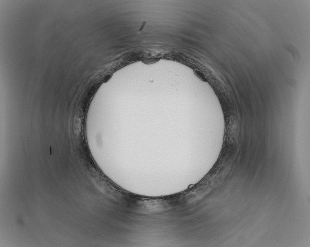 X0000111790417200908201136